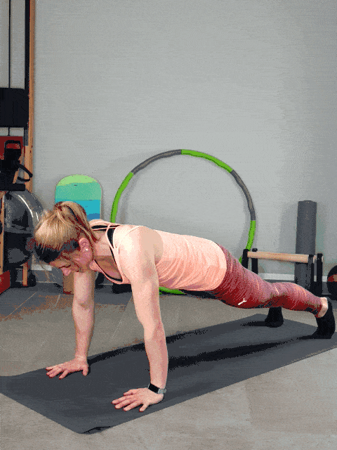 Plank-Twist